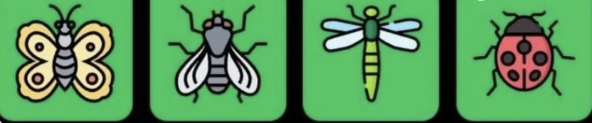 FLIES Daily Combo 20 March 2025